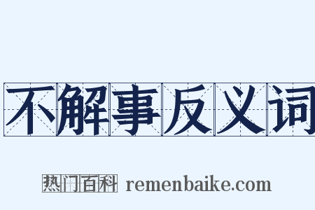 不解事反义词是什么意思的图片
